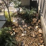 岐阜チャート