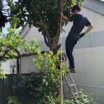 藤沢市のリフォーム一戸建て・植栽お手入れ