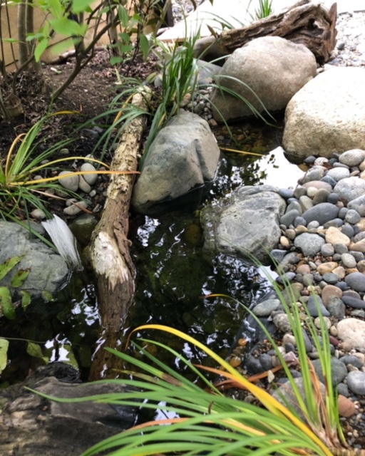 雑木が育つせせらぎのお庭・湘南平塚