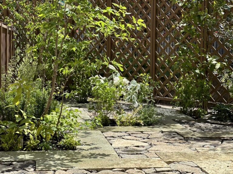 土の庭どうにかしたい!おしゃれな庭へ 神奈川県藤沢市の造園業_倉地造園設計 土の庭どうにかしたい!おしゃれな庭へ 神奈川県藤沢市の造園業_倉地造園設計